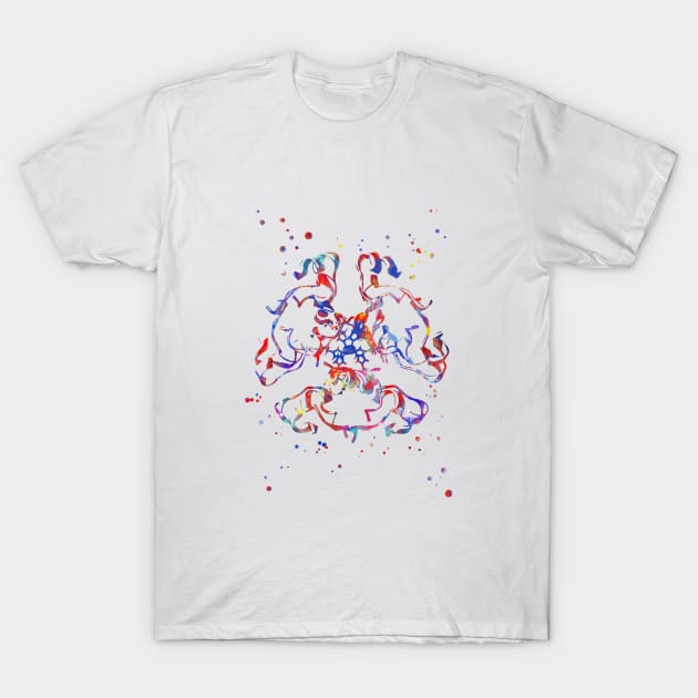 Insulin structure T-Shirt by RosaliArt